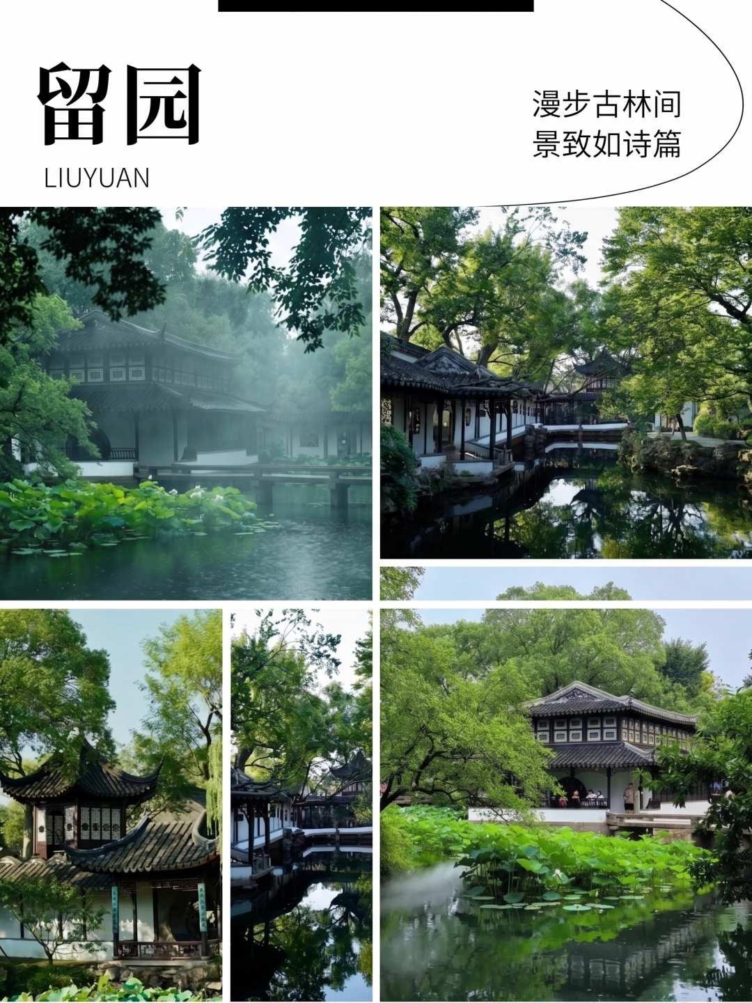 华东East China 私人定制游实拍