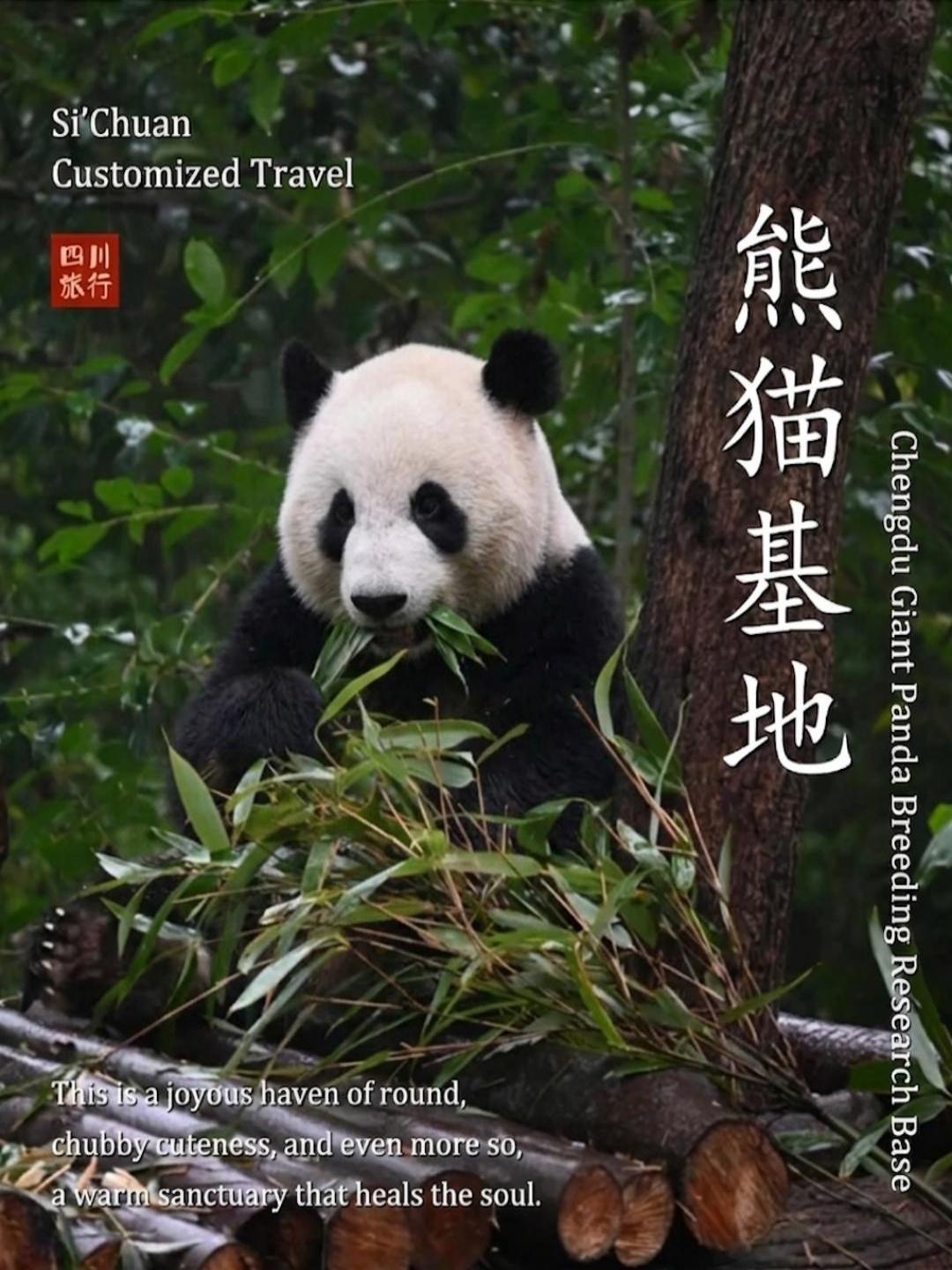 四川Sichuan 私人定制游实拍